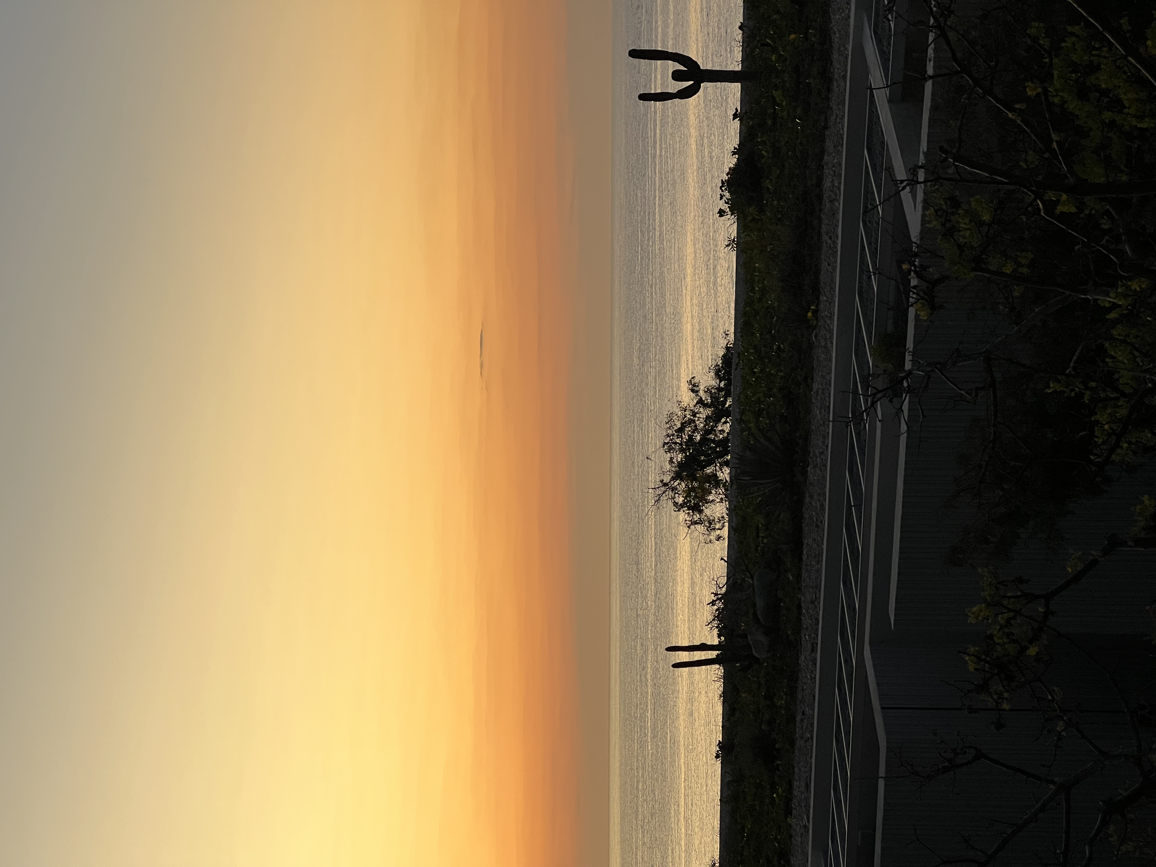 ./2024/13 - Cabo/IMG_4920.jpg